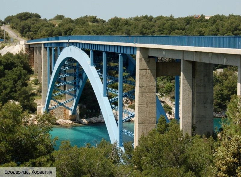 Бродарица