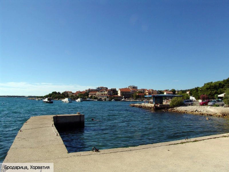 Бродарица