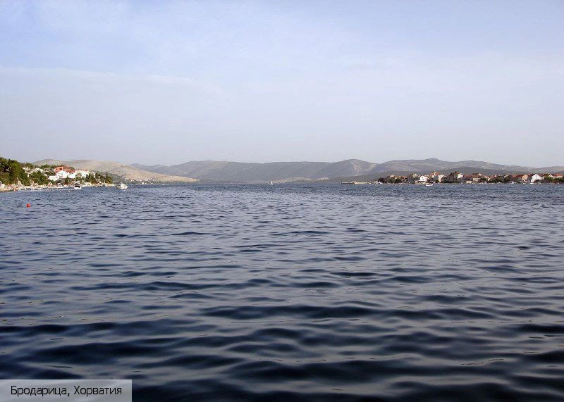 Бродарица