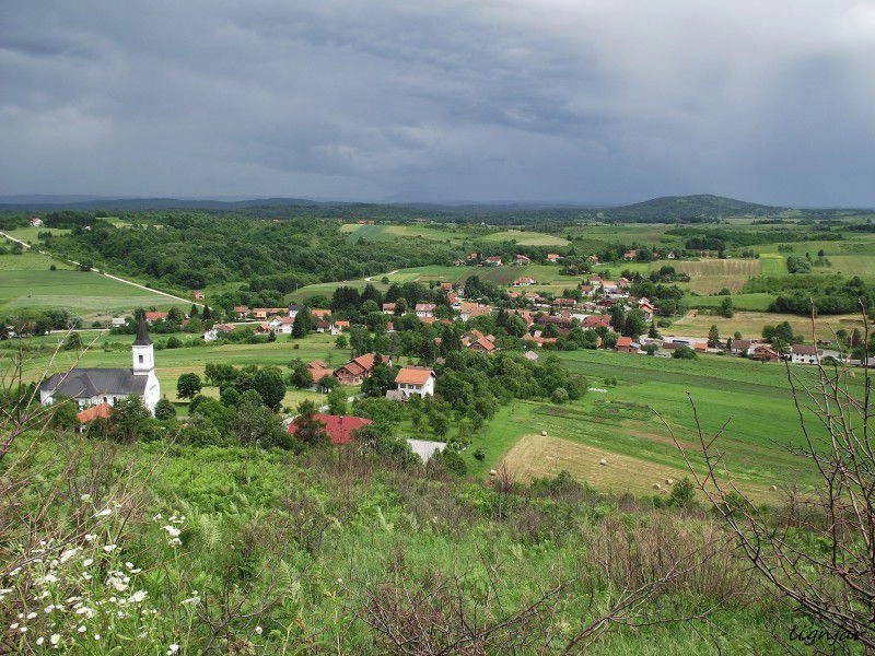 Раковица
