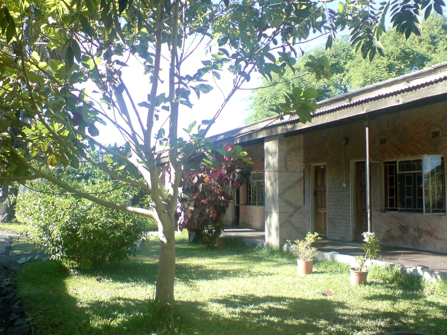 Казунгула