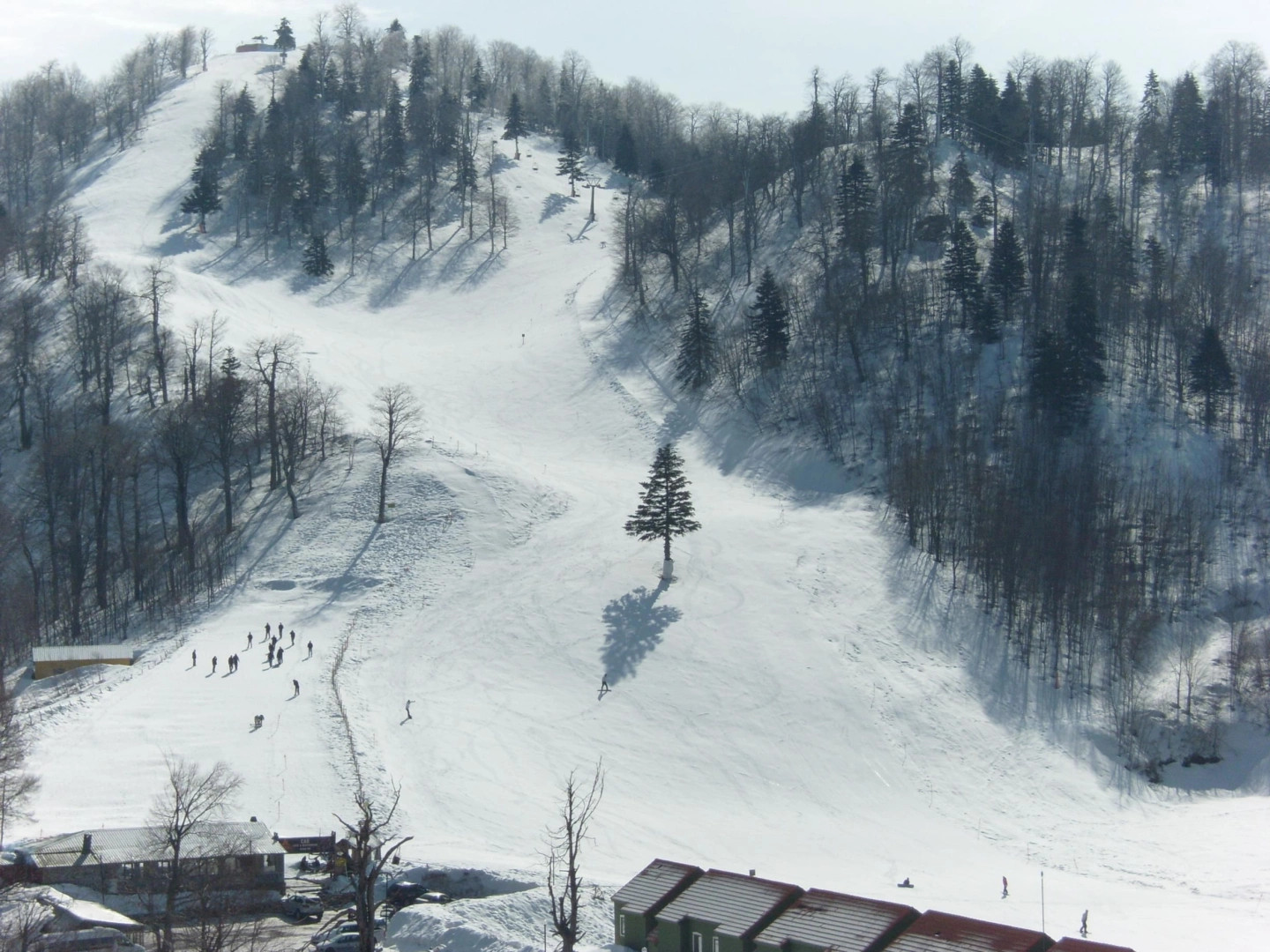 Картепе
