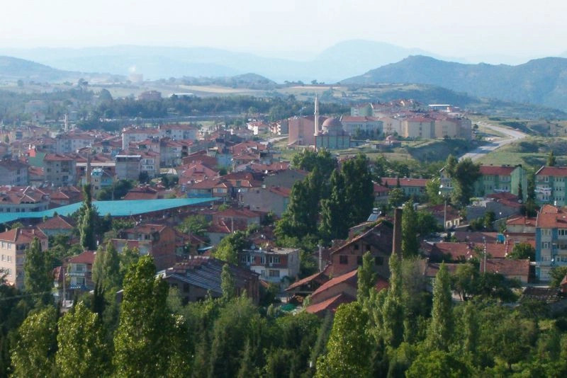 Провинция Биледжик