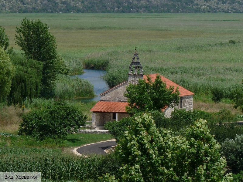 Вид