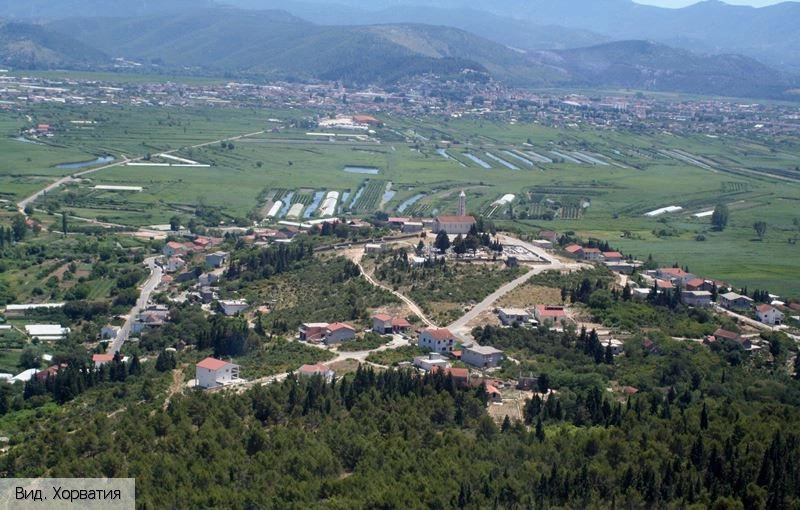Вид