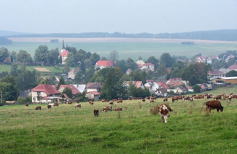 Высочина край