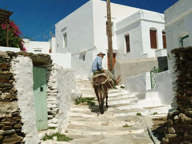 Като Петали