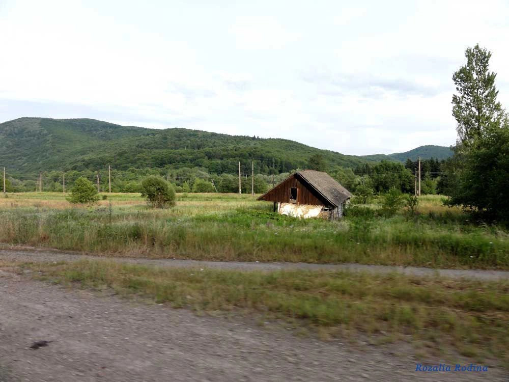 Сколе