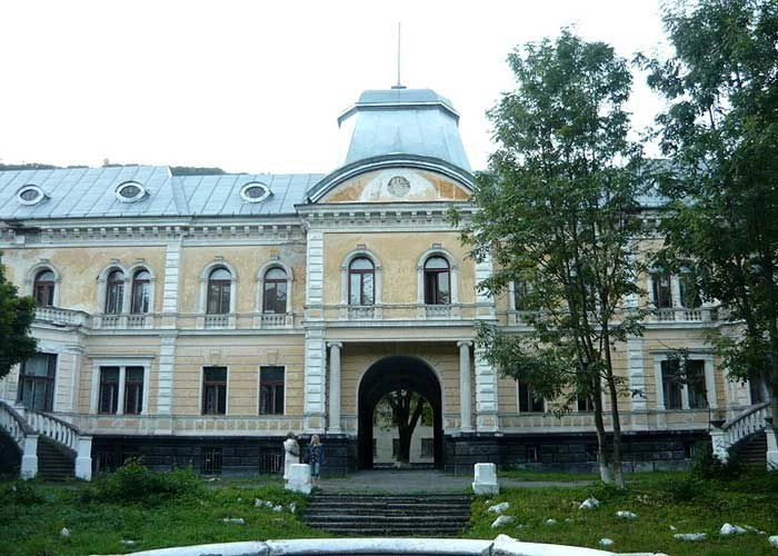 Сколевский район