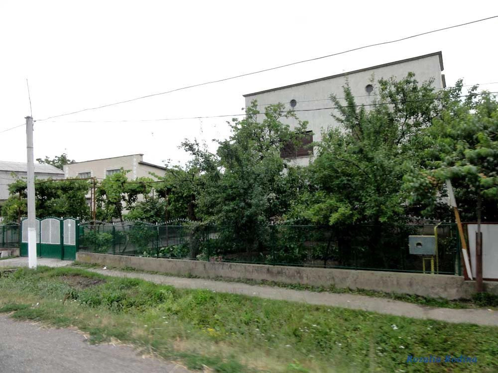 Бэнэ 
