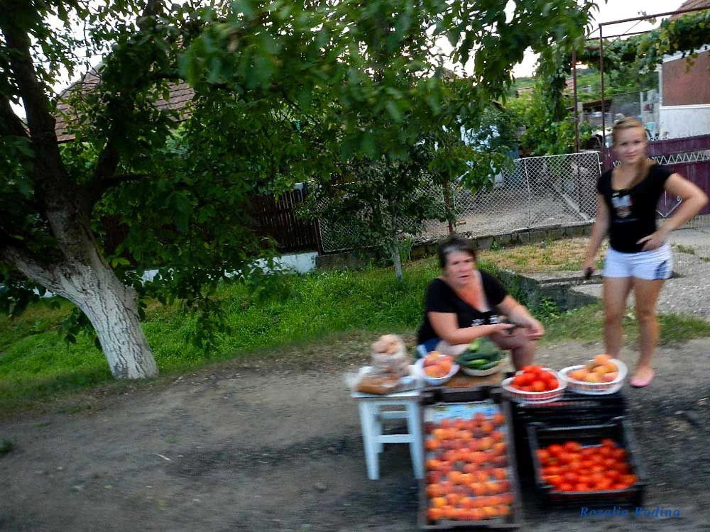 Гать 