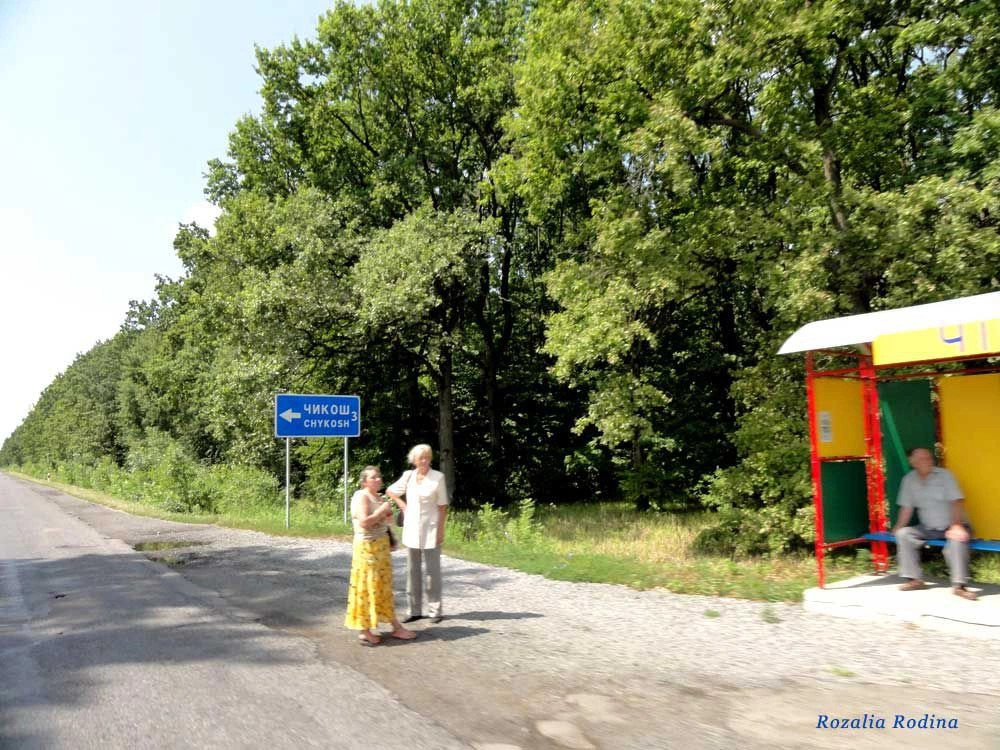 Береговский район