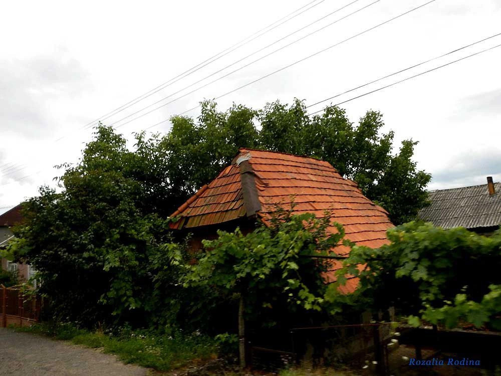 Великая Копаня 