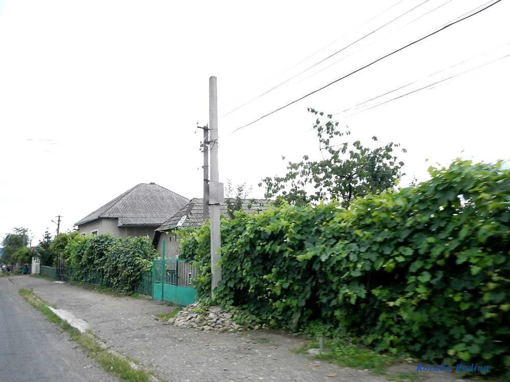 Великая Копаня 