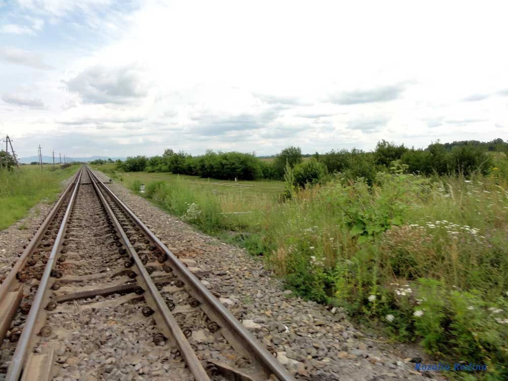 Новое Село 