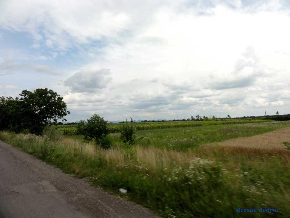 Новое Село 