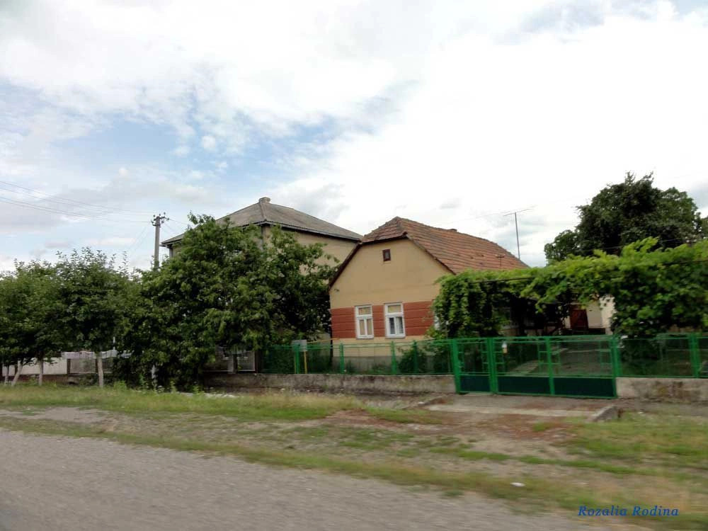 Новое Село 
