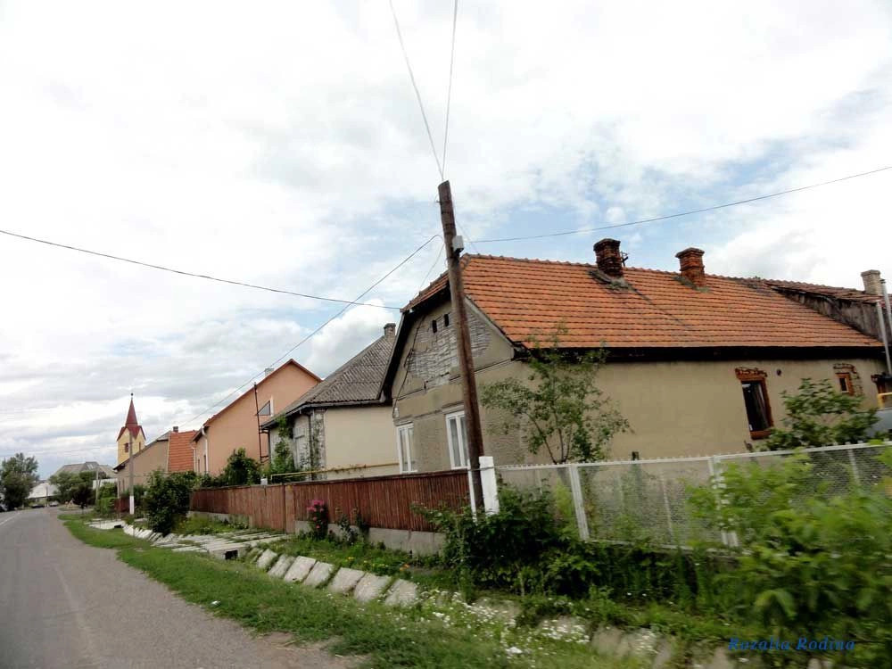 Новое Село 