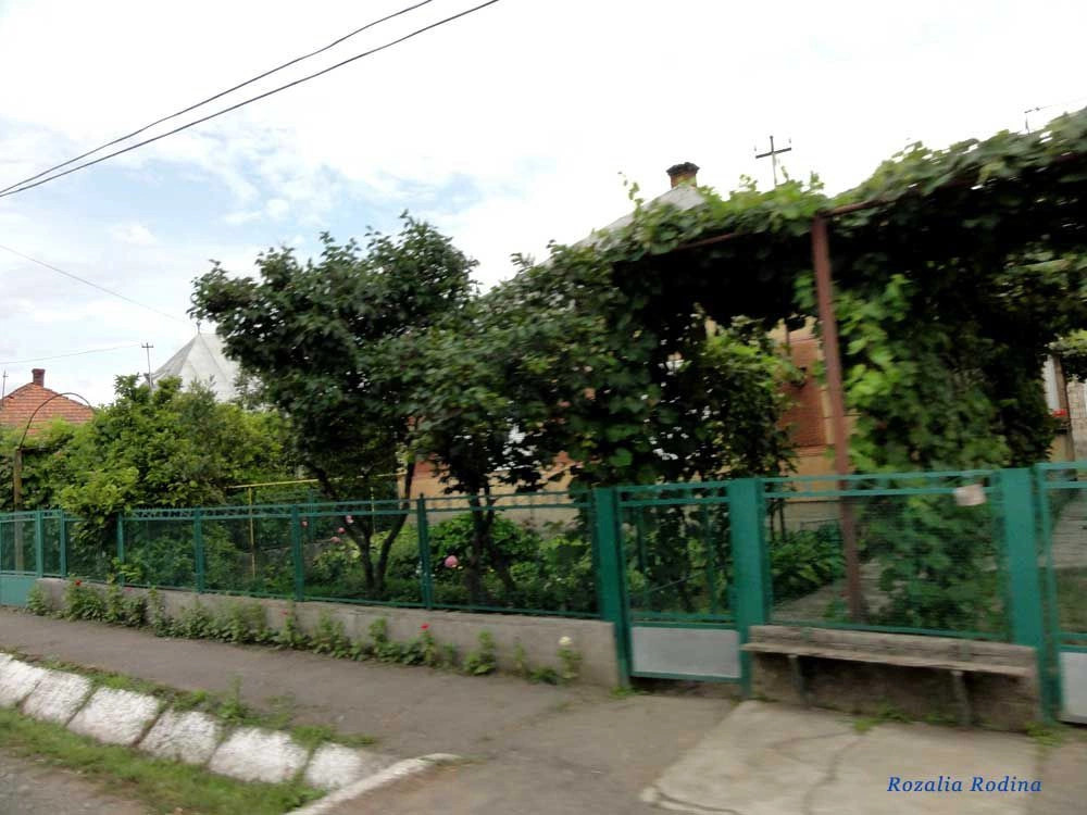 Новое Село 