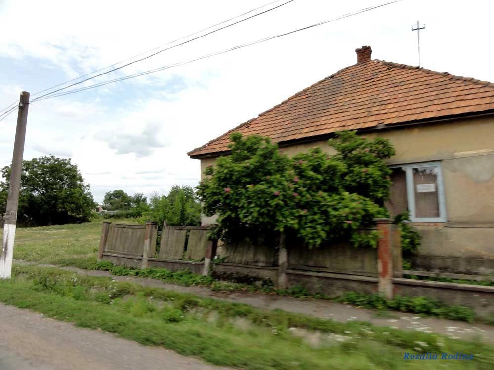Новое Село 