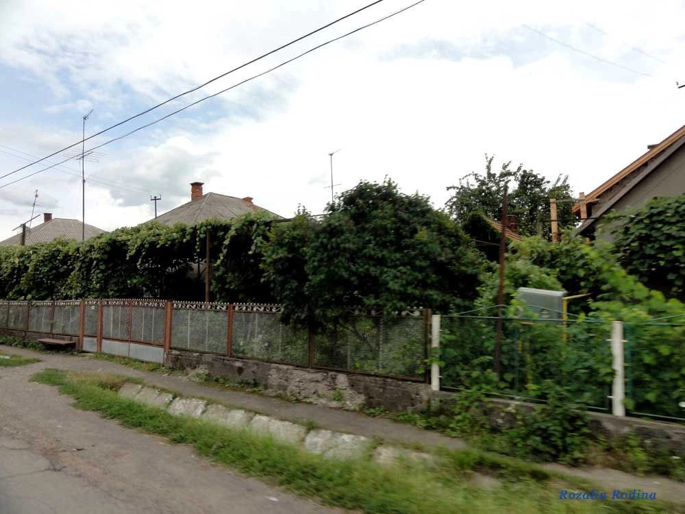 Новое Село 