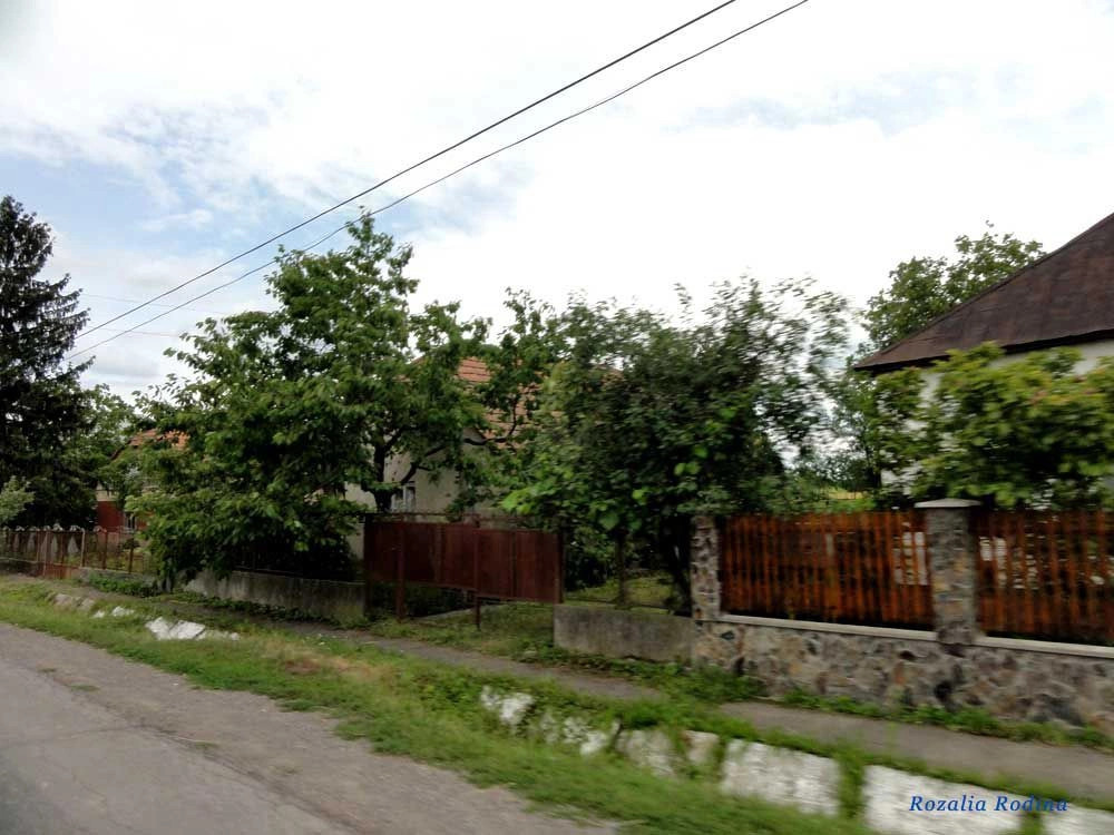 Новое Село 