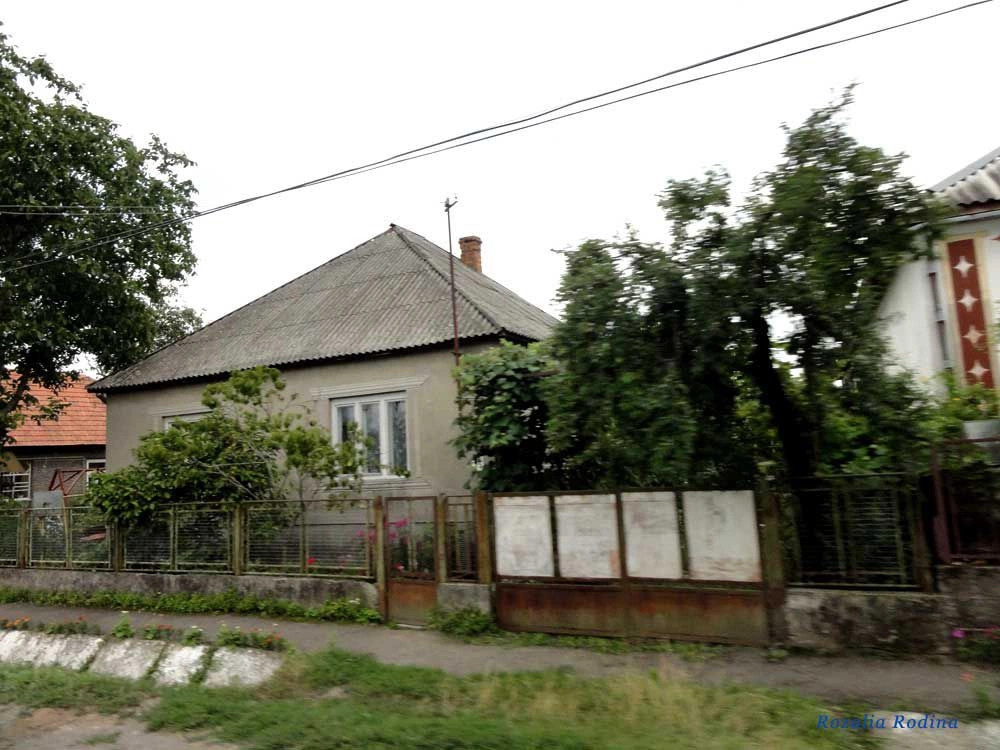 Новое Село 