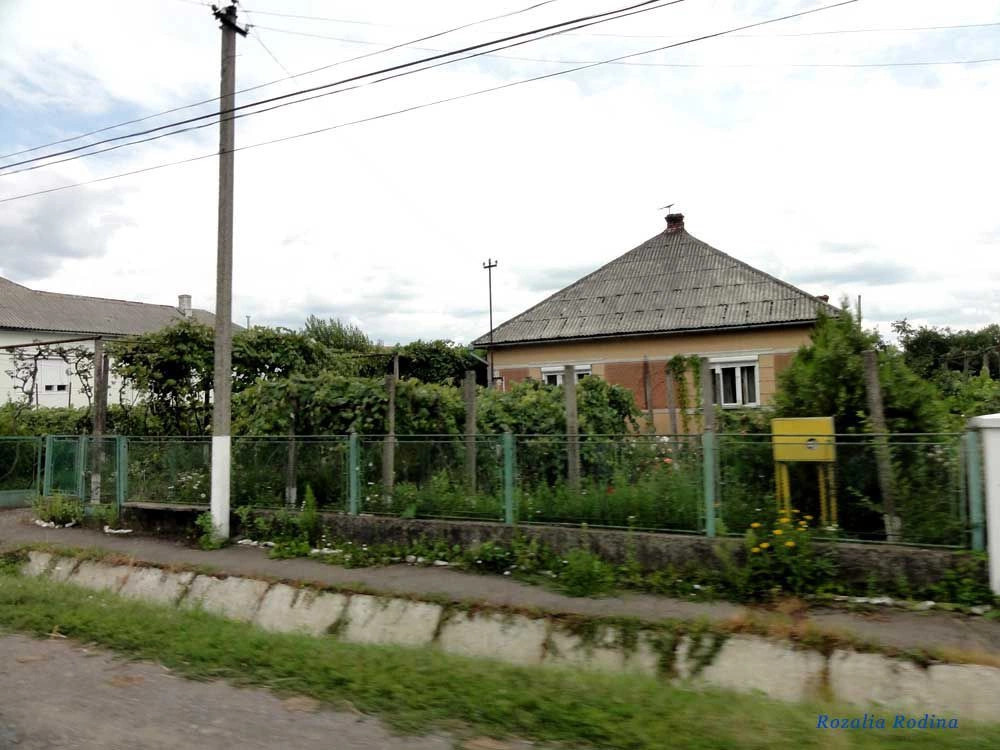 Новое Село 