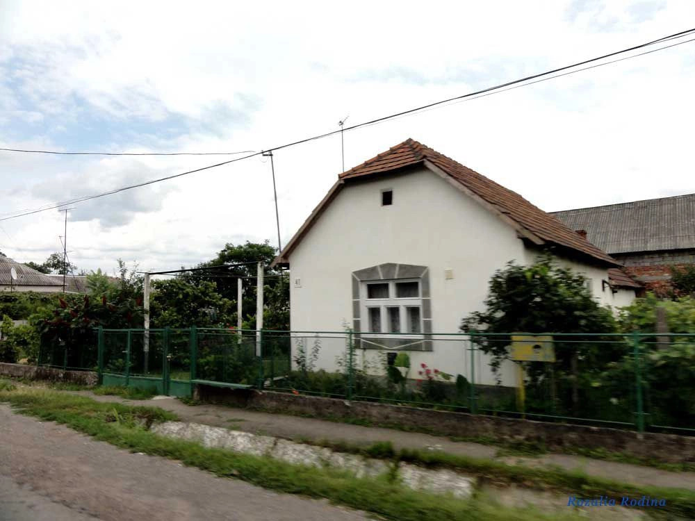 Новое Село 
