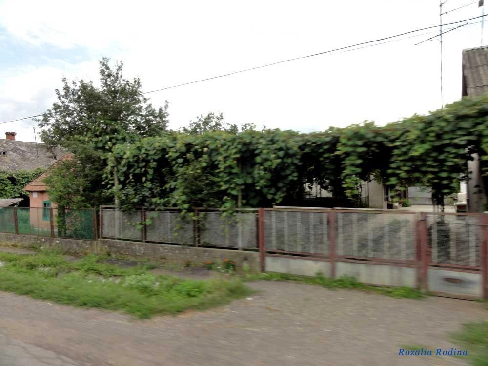 Новое Село 