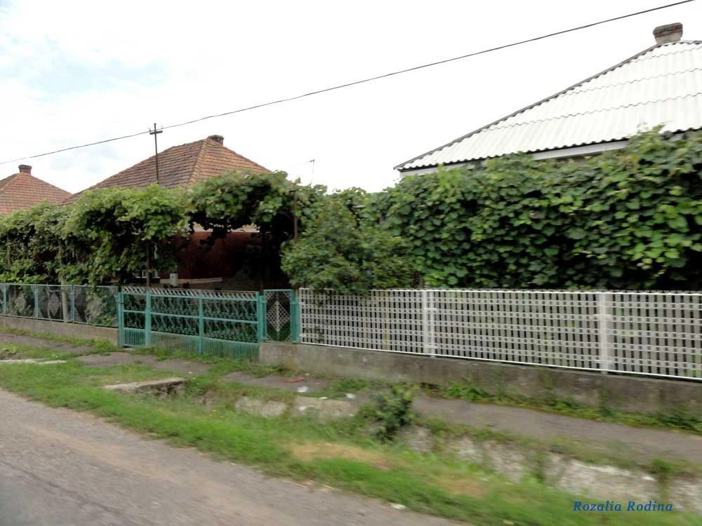 Новое Село 