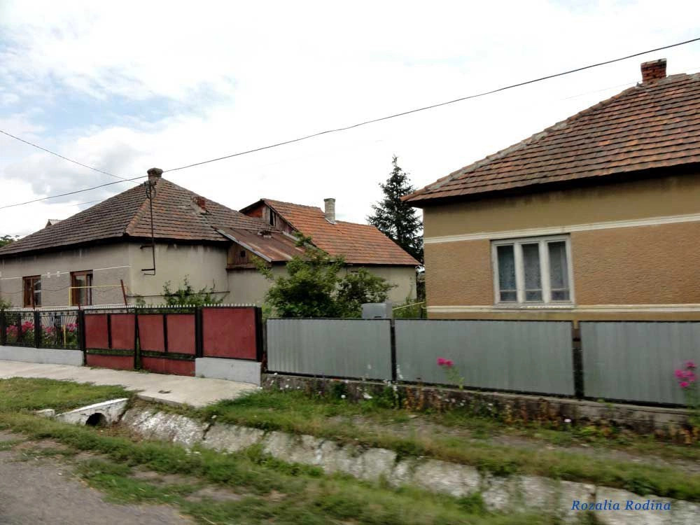 Новое Село 