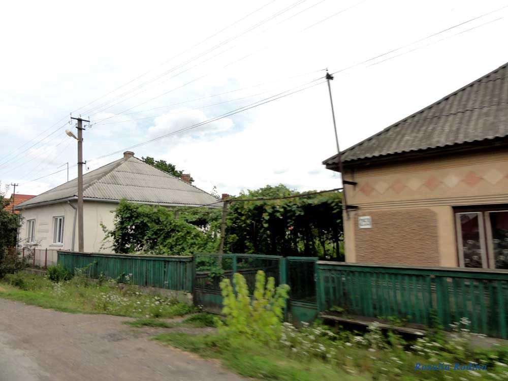 Подвиноградов 