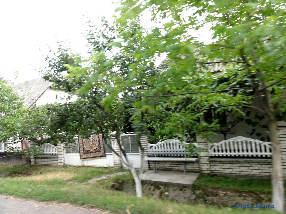 Подвиноградов 
