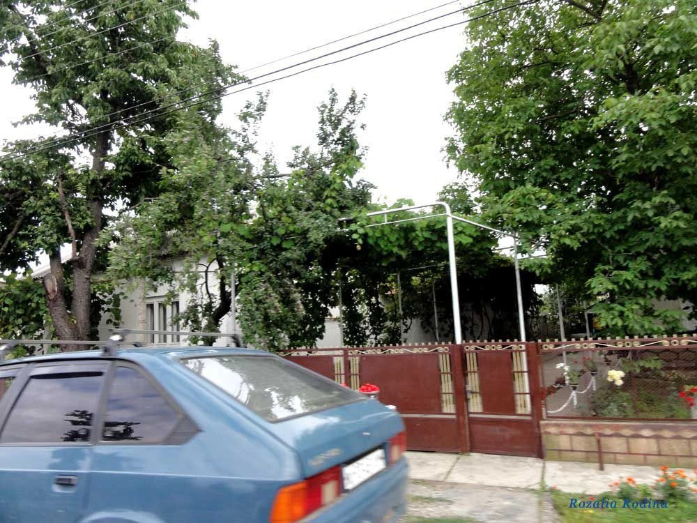 Подвиноградов 
