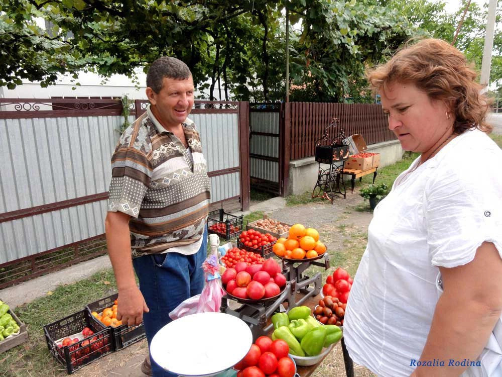 Виноградовский район
