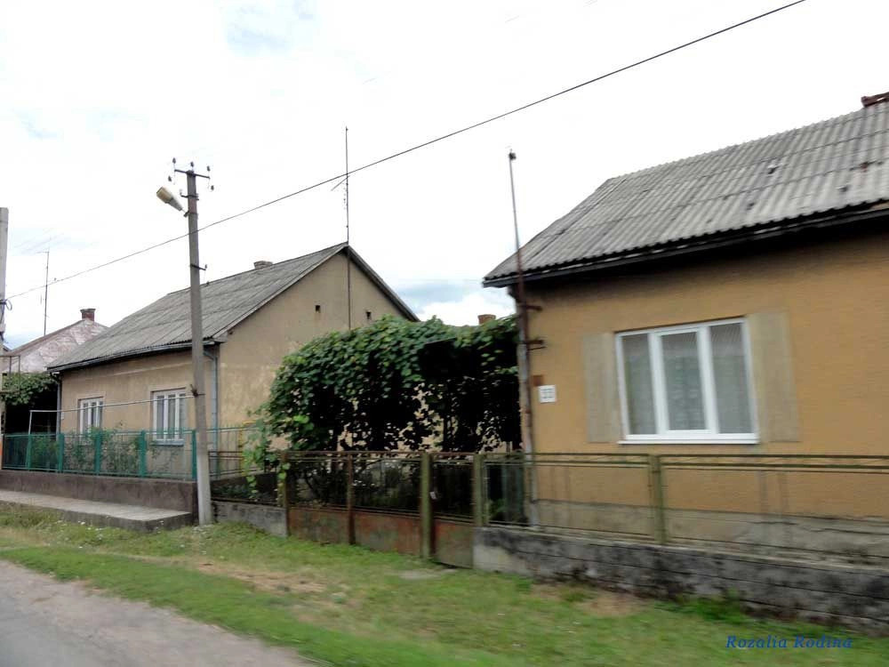 Виноградовский район