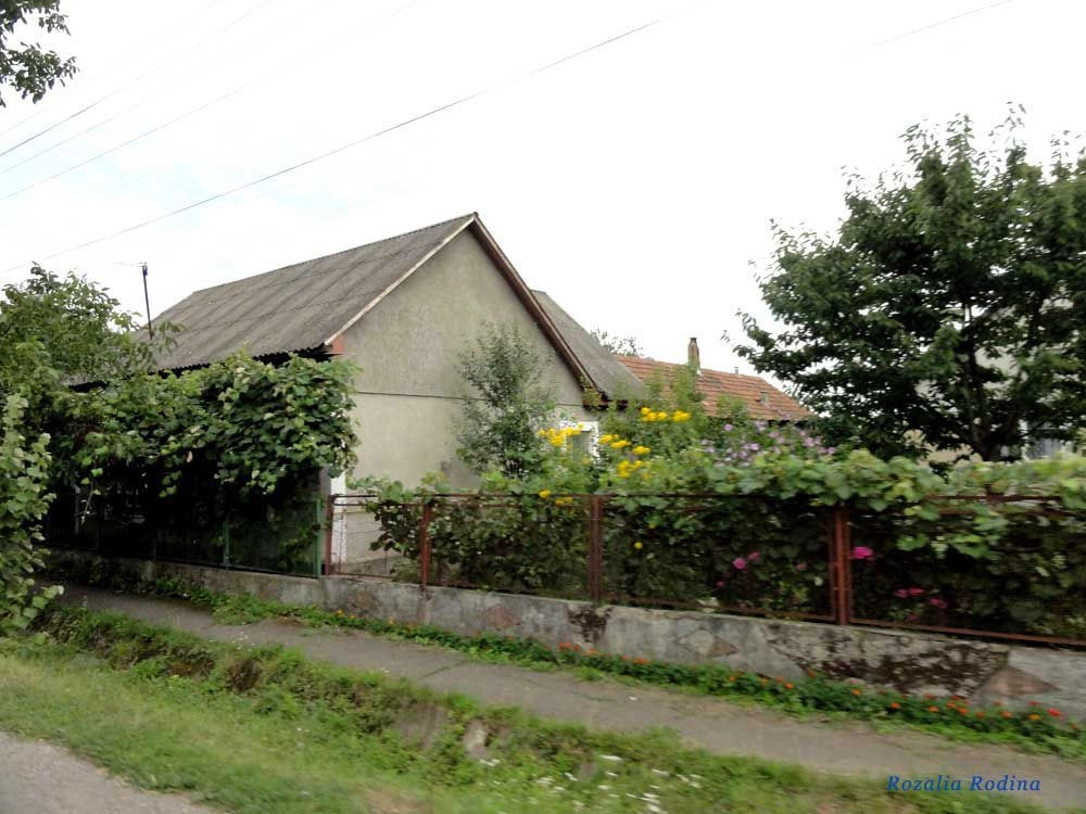 Виноградовский район
