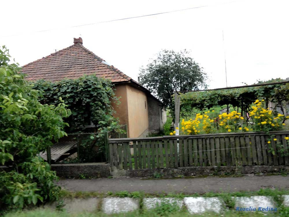 Русская Долина 