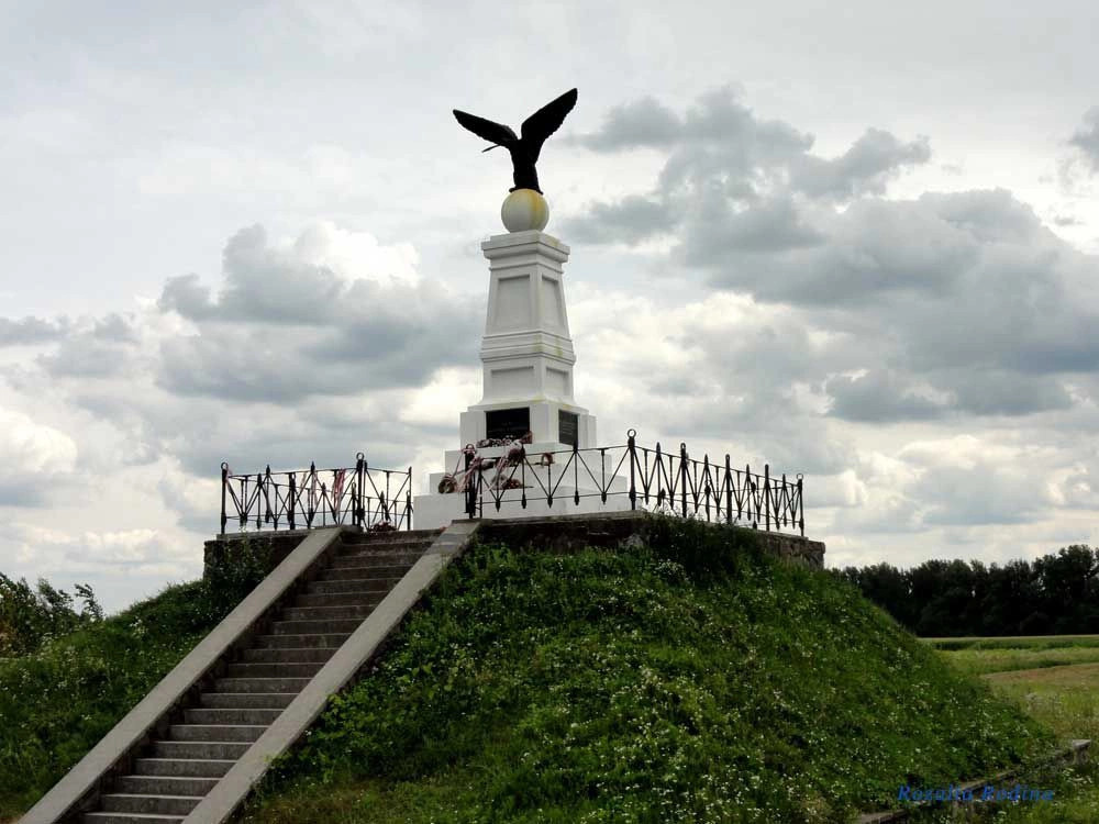 Виноградовский район