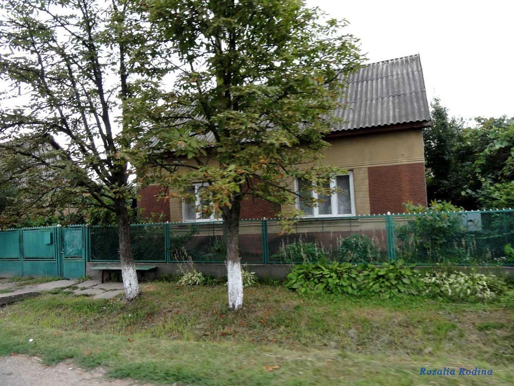 Вилок