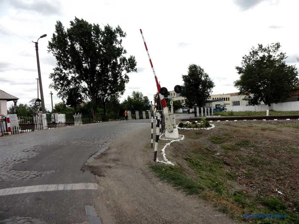 Вилок