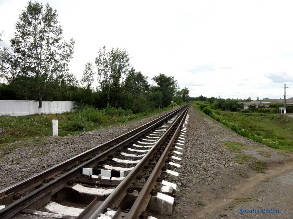 Вилок