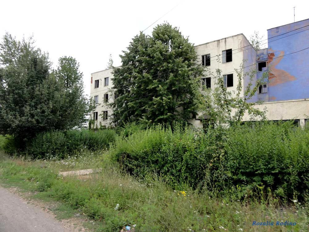 Вилок