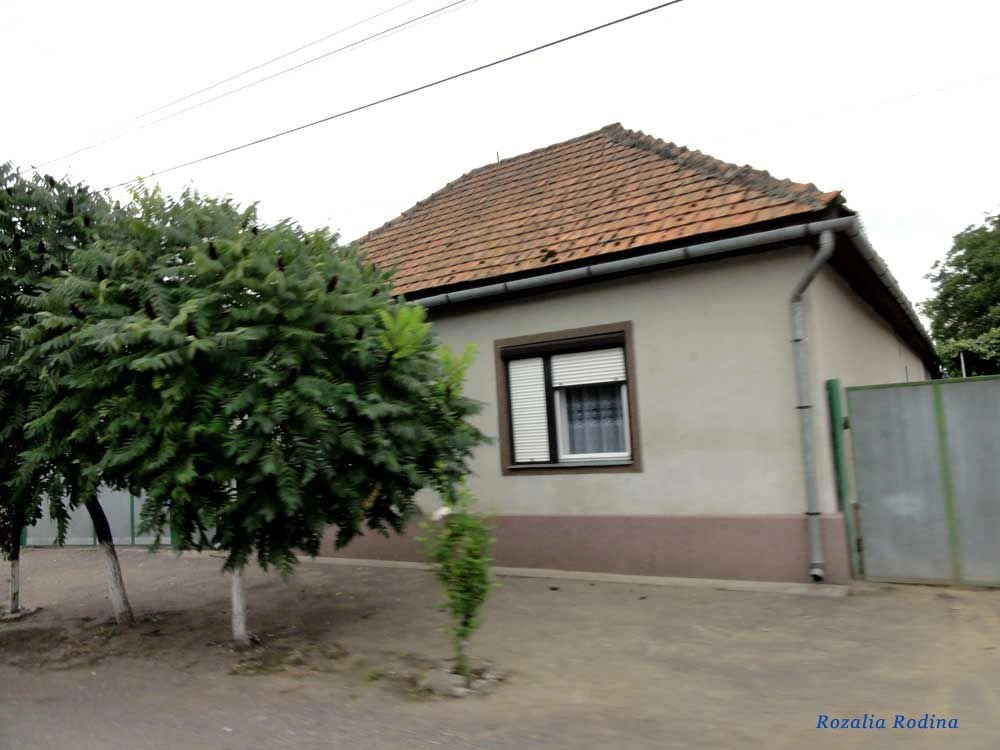 Вилок