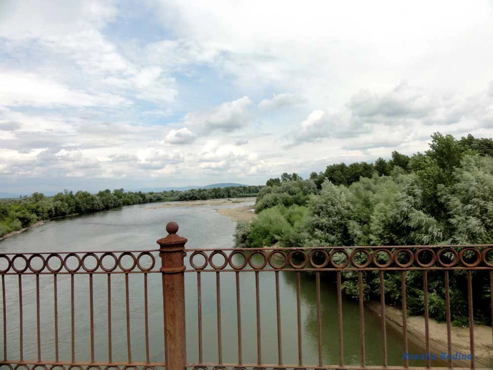 Вилок