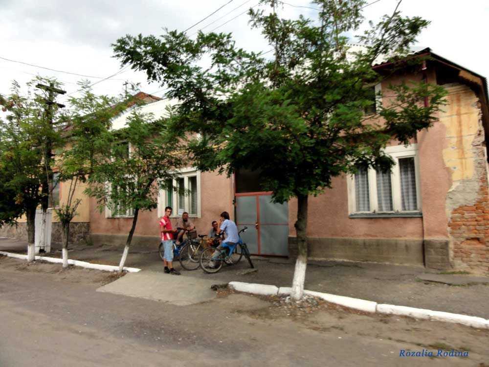 Вилок