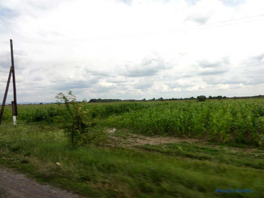 Вилок