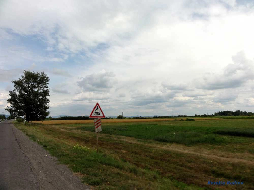 Вилок