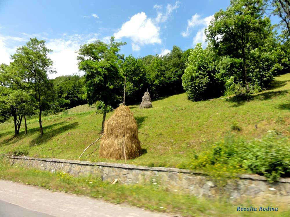 Латорка 